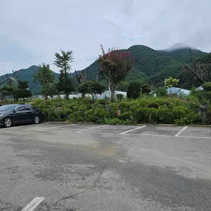 광치막국수 리뷰 사진