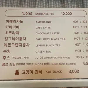 고양이다락방 리뷰 사진