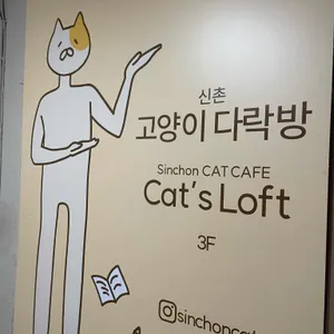 고양이다락방 리뷰 사진