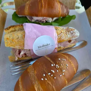 몰베이크 대표 사진