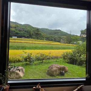 샌드닉 리뷰 사진