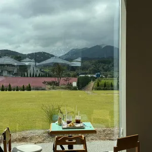 카페 지새울 리뷰 사진