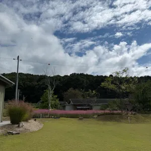 카페 지새울 리뷰 사진