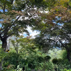 파인힐커피하우스 리뷰 사진