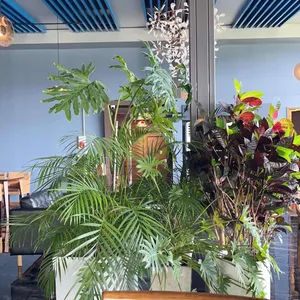 파인힐커피하우스 리뷰 사진