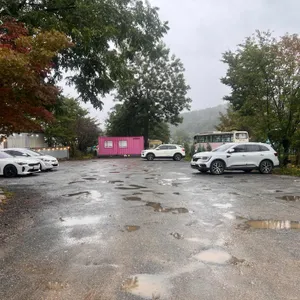 1992년 사기막 리뷰 사진