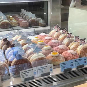 노티드 사진