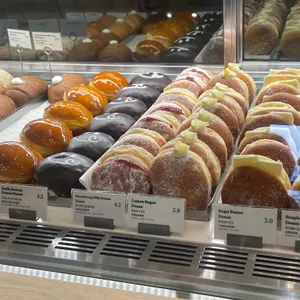 노티드 사진