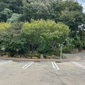 웨스턴챔버 리뷰 사진