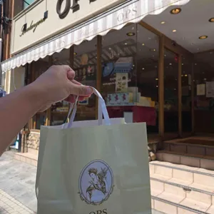 옵스 리뷰 사진