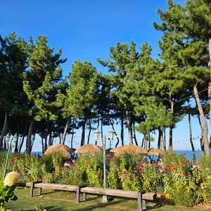 바다정원 리뷰 사진