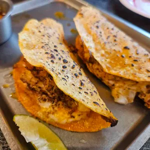 더타코부스 사진