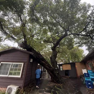 호수가애 리뷰 사진