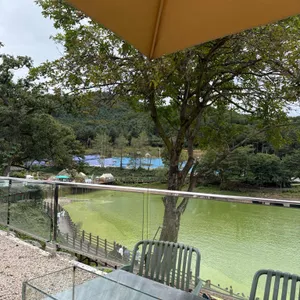 그리네 오아시스 사진