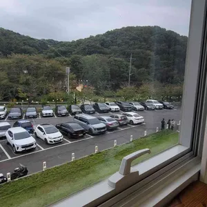 필무드 리뷰 사진