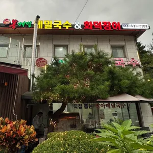 봉메밀 사진 1