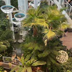 포레스트아웃팅스 리뷰 사진