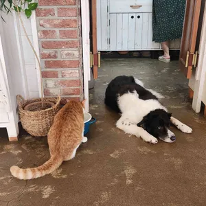 카페 보니비 리뷰 사진