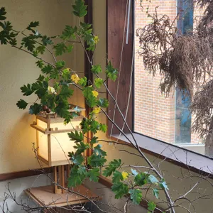 심미안 리뷰 사진