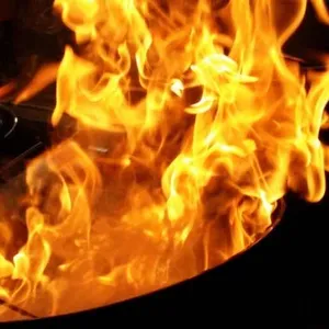 서울낙지 대표 사진