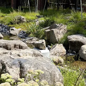 모쓰 리뷰 사진