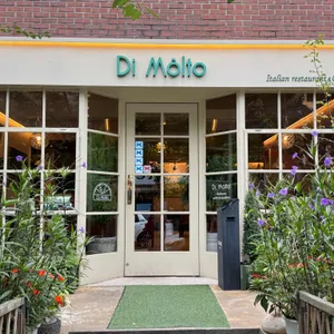 디몰토 리뷰 사진