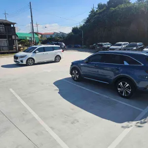 해담 파도리 리뷰 사진