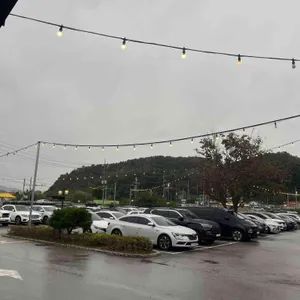 통나무집닭갈비 리뷰 사진