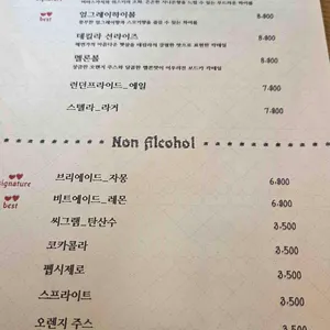 브리비트 리뷰 사진