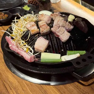 산돼지 사진