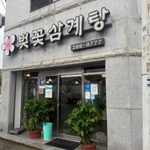 벚꽃삼계탕 리뷰 사진