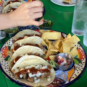 라타케리아 타코의집 사진