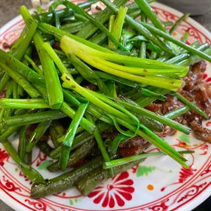 플라잉 드래곤 사진