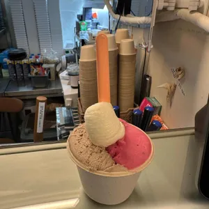 녹기 전에 낱점 사진