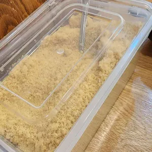 유달콩물 대표 사진