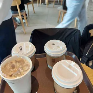 보사노바 사진