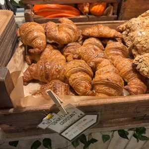 테디뵈르하우스 사진 1