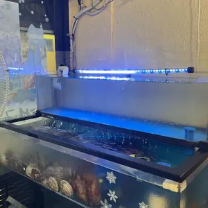 돈먹은가리비 리뷰 사진