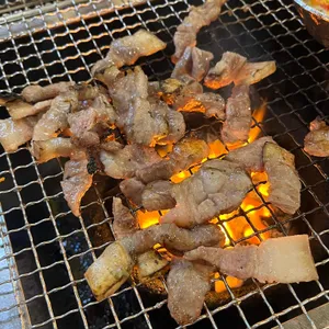 돈먹은가리비 사진