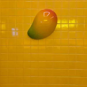 고망고 대표 사진