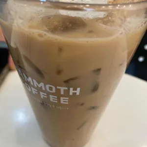 매머드익스프레스 사진