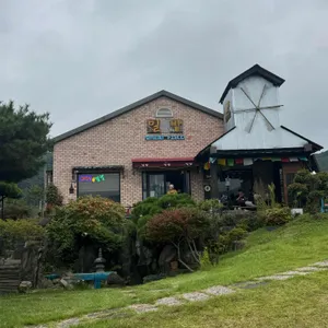 알프스 밀밭 사진 2