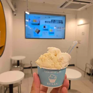 젤라또조이 사진