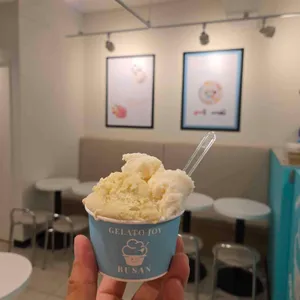 젤라또조이 사진