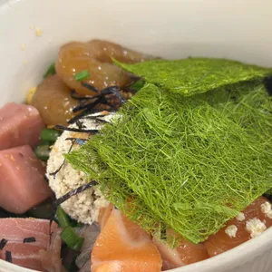 오포케 대표 사진