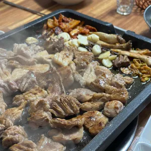 춤추는돼지 사진