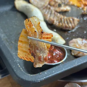 춤추는돼지 사진