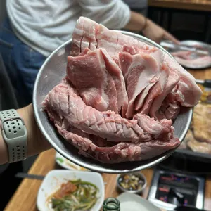 춤추는돼지 사진