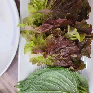 일차로물회 대표 사진