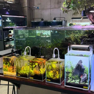 팀아쿠아 리뷰 사진